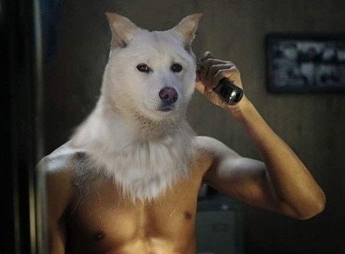 이미지 내용