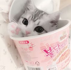 이미지 내용